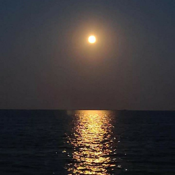 Meet your Posher, Barbara - Picture 1 of 1